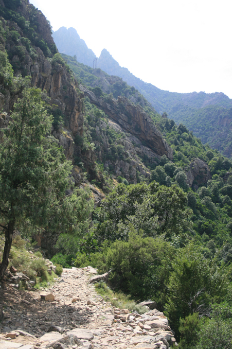 b0120269_18145891.jpg