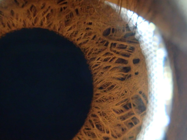 c0122670_18571376.jpg