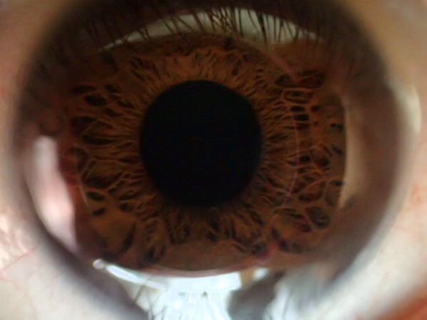 c0122670_18572140.jpg