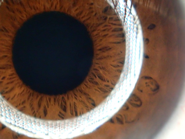 c0122670_18572189.jpg