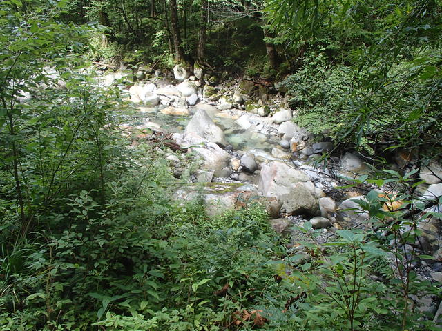 a0093677_15505490.jpg