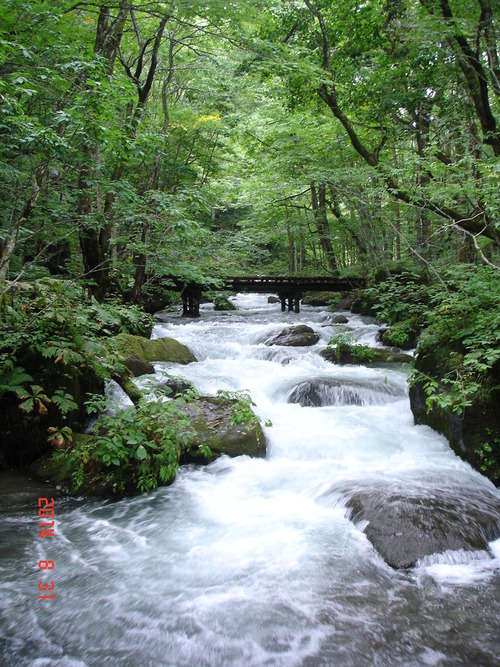d0165378_13273834.jpg