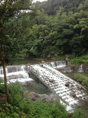 e0012580_178069.jpg