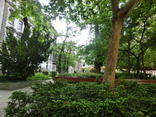 b0214184_13263107.jpg