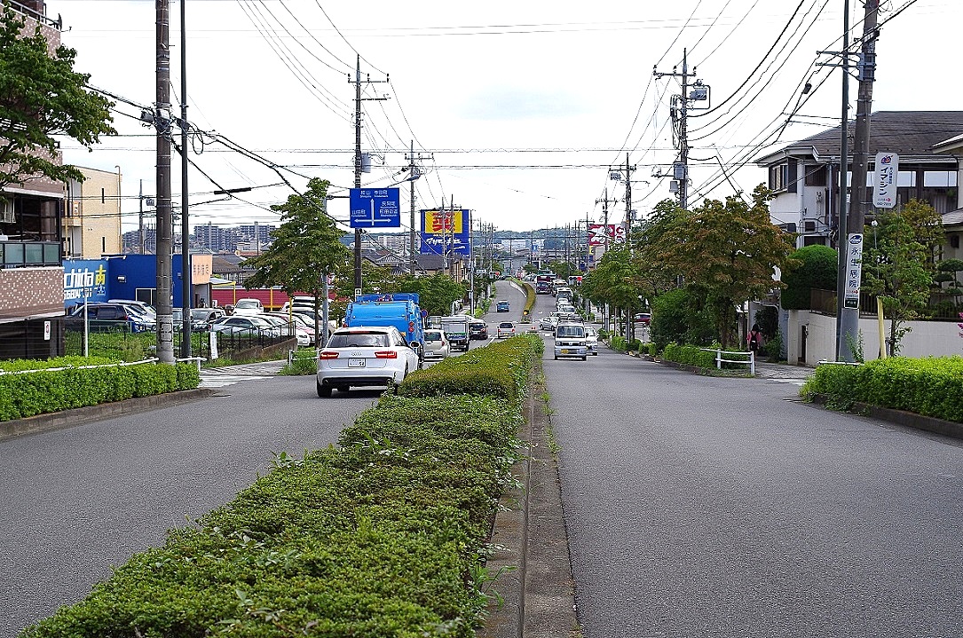 f0170885_10152511.jpg