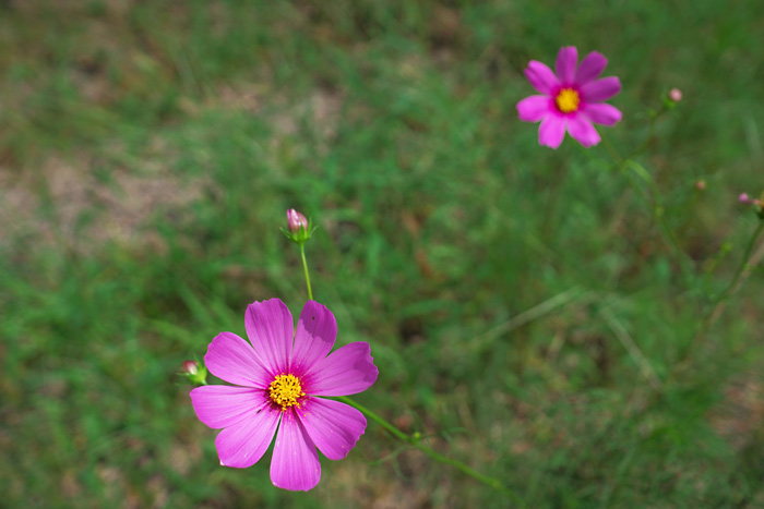 f0175989_22234531.jpg