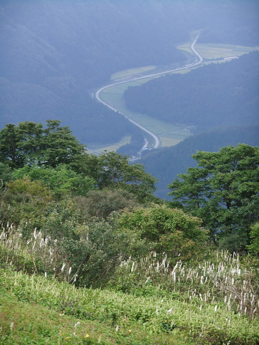 c0139591_23352123.jpg