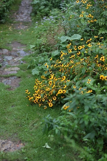 e0209997_12225728.jpg