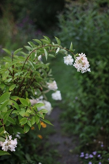 e0209997_12251184.jpg
