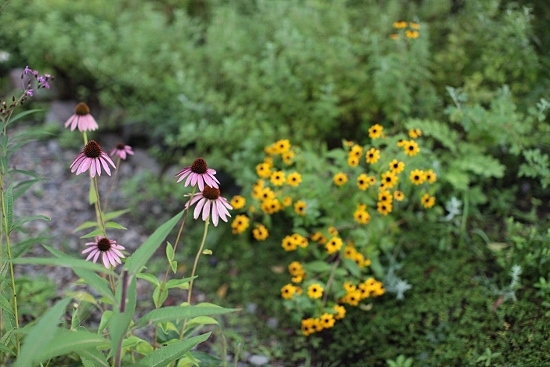 e0209997_12261719.jpg