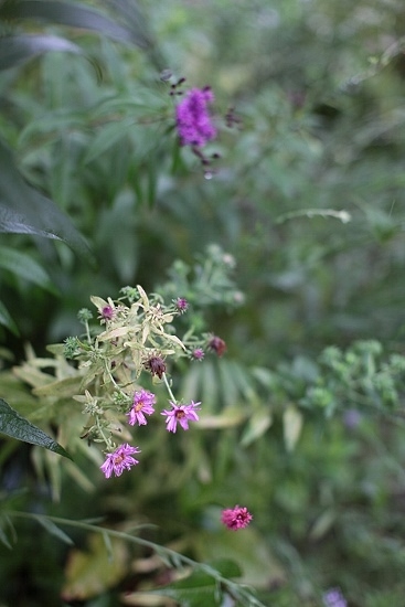 e0209997_12423176.jpg