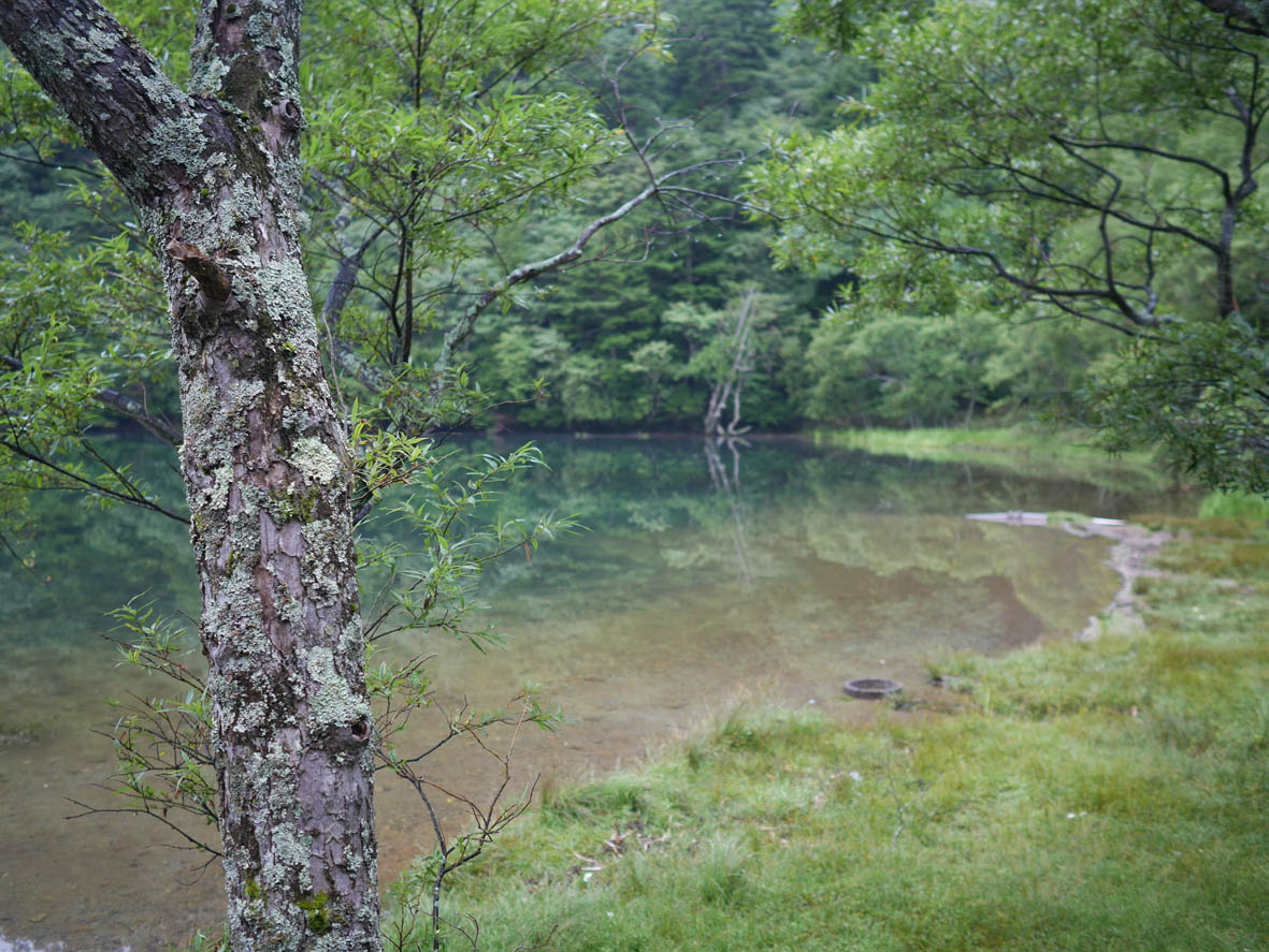 e0064400_1253391.jpg