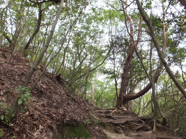 a0271502_14192357.jpg
