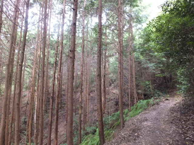 a0271502_14362851.jpg