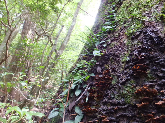 a0271502_14443181.jpg