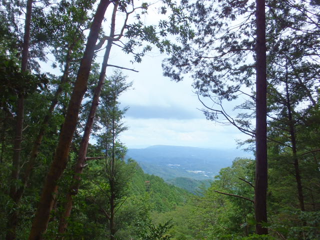 a0271502_14465034.jpg