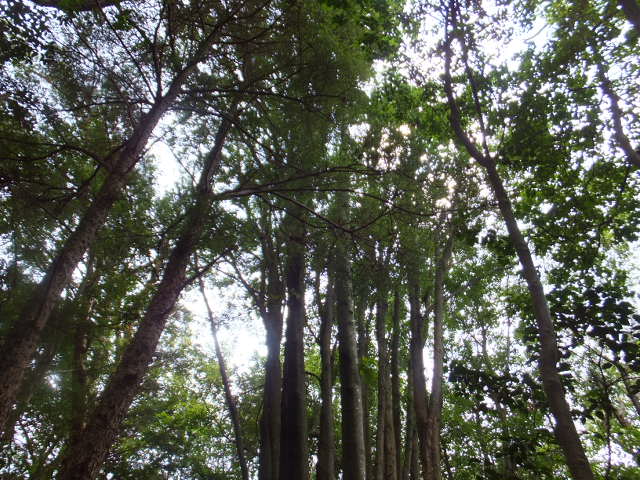 a0271502_14521358.jpg