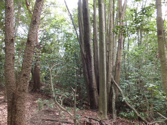 a0271502_14522118.jpg