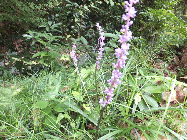 a0271502_14575035.jpg