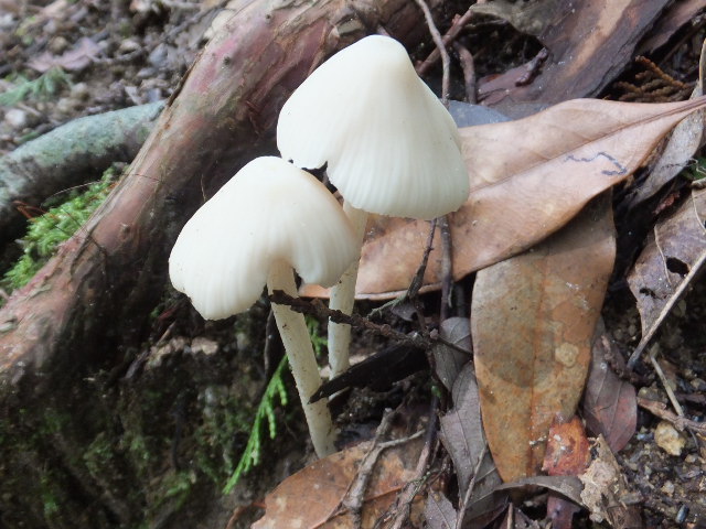 a0271502_1581677.jpg