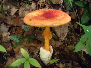 b0326303_19204112.jpg