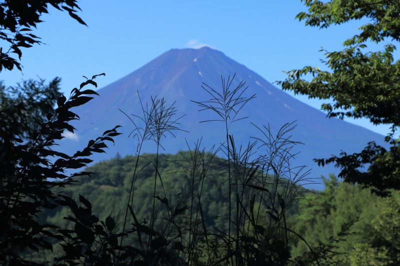 a0188405_02375555.jpg