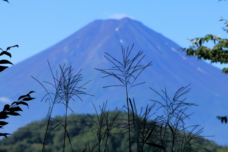 a0188405_02380620.jpg
