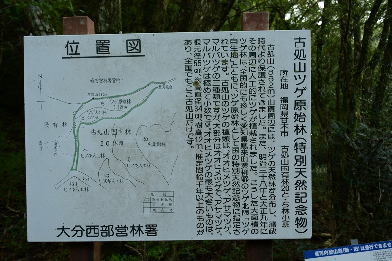 b0277008_125056100.jpg