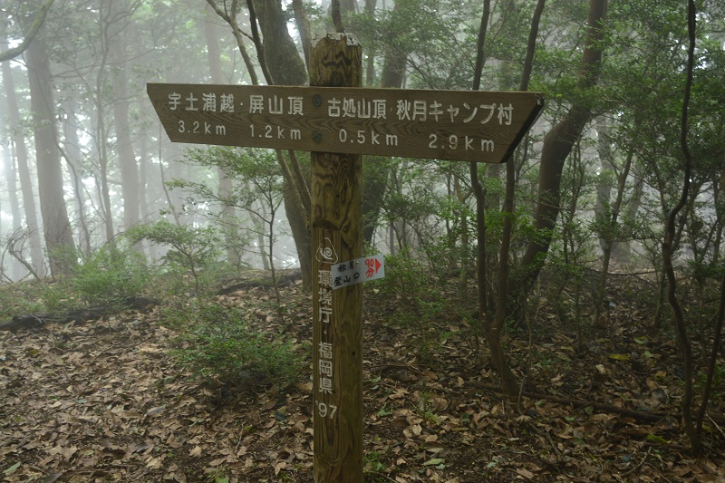 b0277008_12572193.jpg