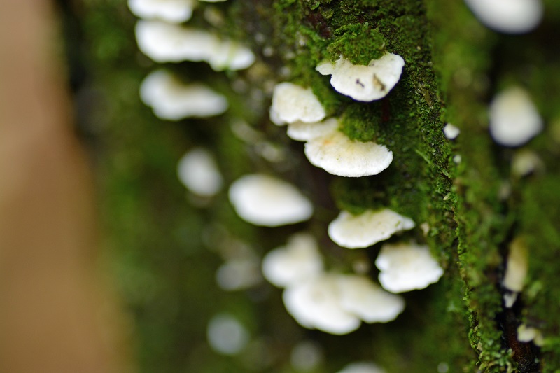 b0277008_1331249.jpg