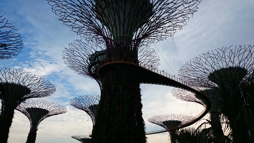 c0142508_23305393.jpg