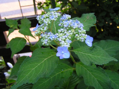 f0325309_18574599.jpg