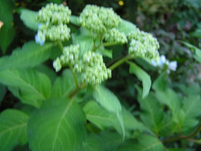 f0325309_18575615.jpg