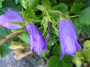 f0325309_19051525.jpg