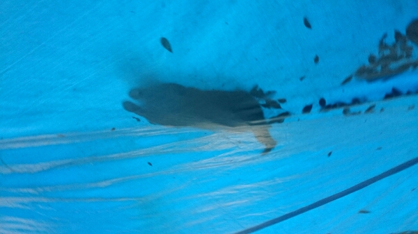 b0187620_20363178.jpg