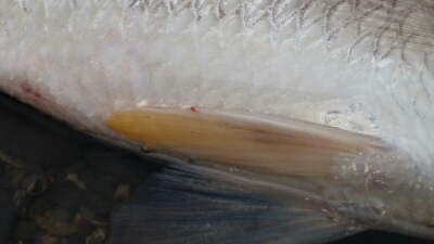 b0259124_15224160.jpg