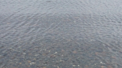 b0259124_15501560.jpg