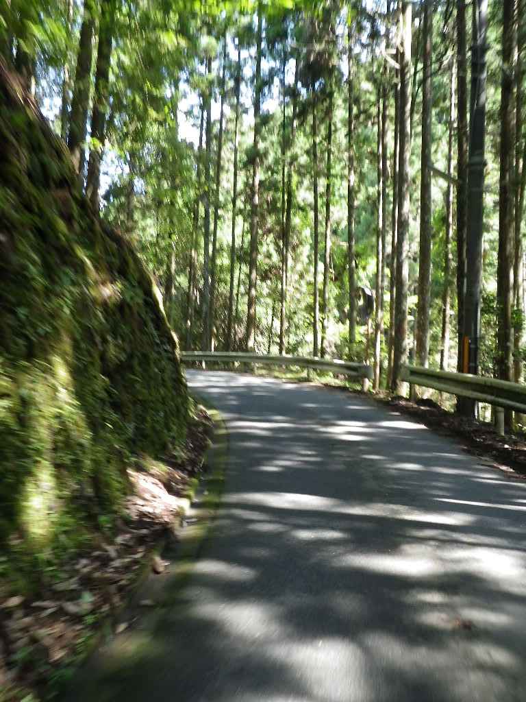 c0189724_18444491.jpg