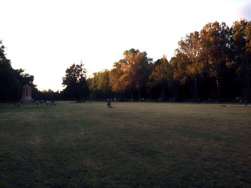 d0248528_722504.jpg