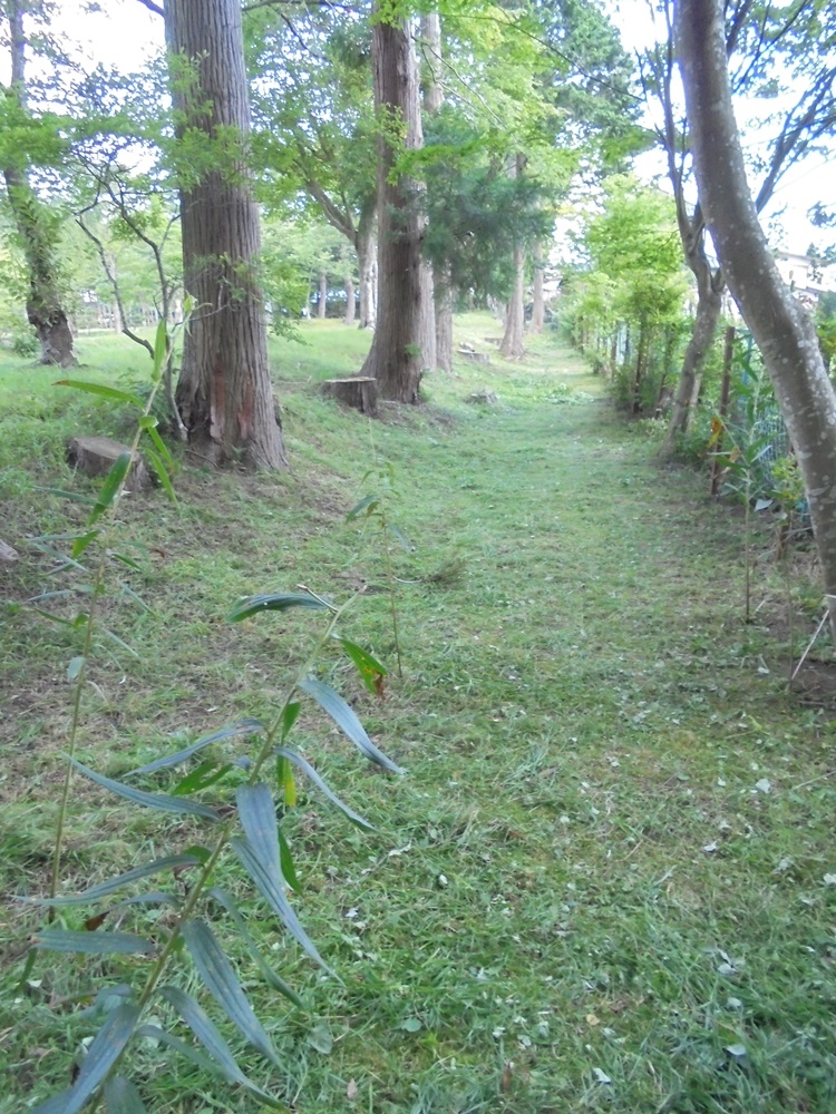 c0111229_19245374.jpg