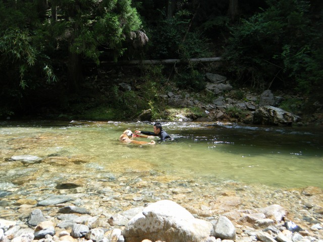 b0127531_16201237.jpg