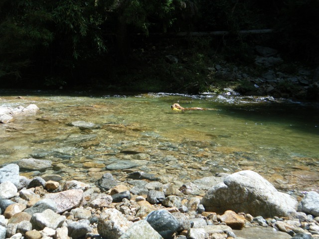 b0127531_16272098.jpg