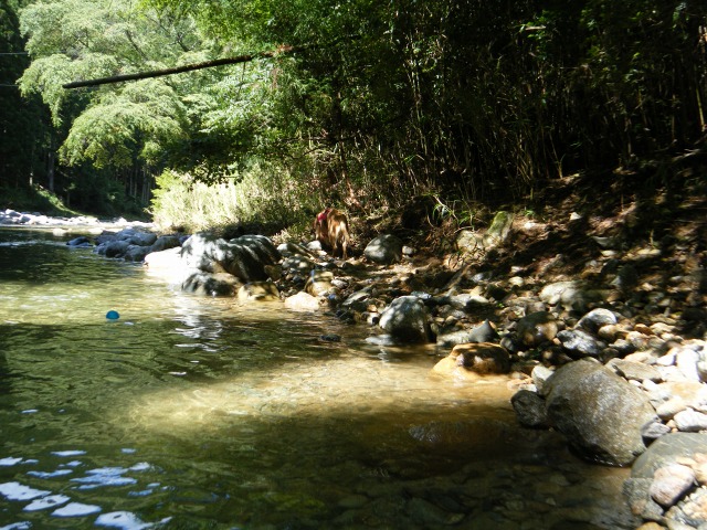 b0127531_16363378.jpg