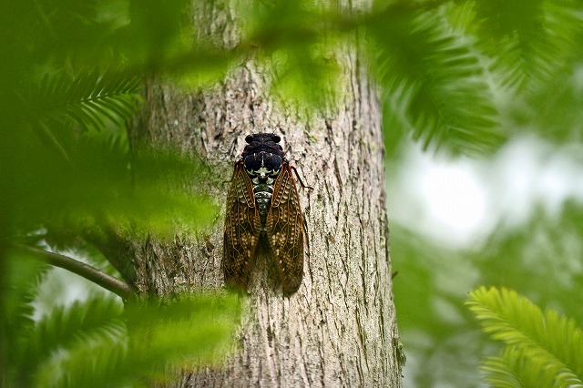 a0242438_19205896.jpg