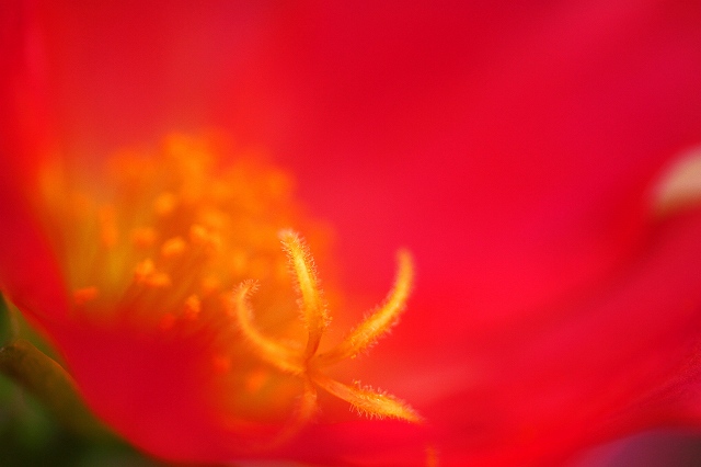a0242438_19265693.jpg