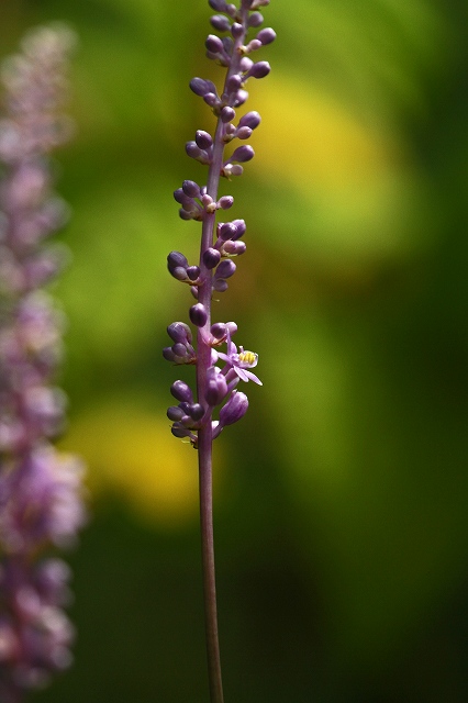 a0242438_19271081.jpg