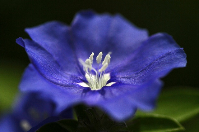 a0242438_1927526.jpg