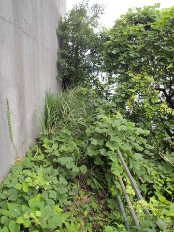 b0199742_22162691.jpg