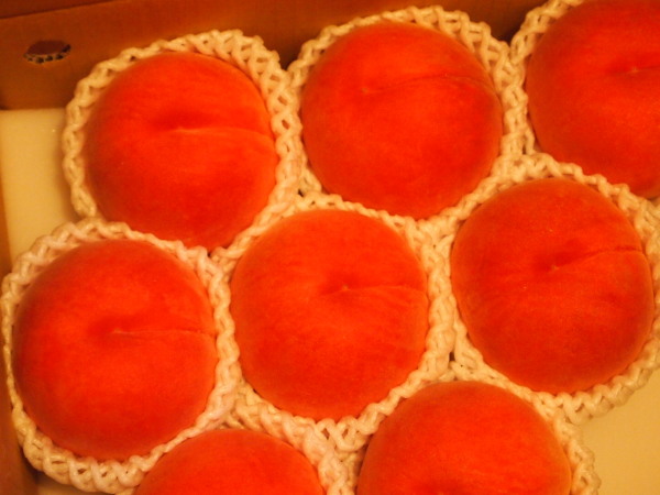 c0310543_05180445.jpg