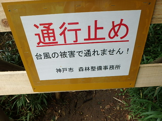 f0334143_19111166.jpg